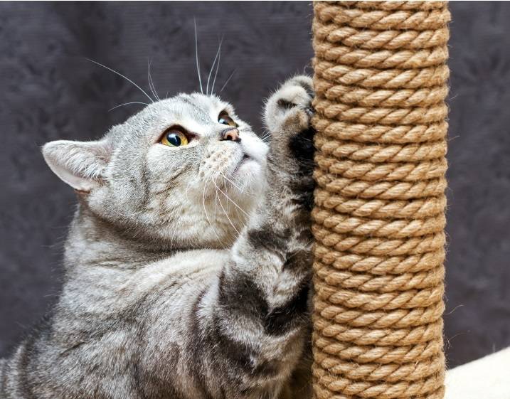 Natural Cat Scratching Rope for Post Towel and Tree Hemptique
